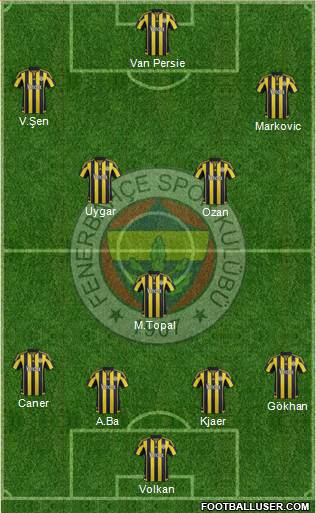 Fenerbahçe SK Formation 2015