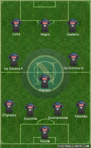 Napoli Formation 2015