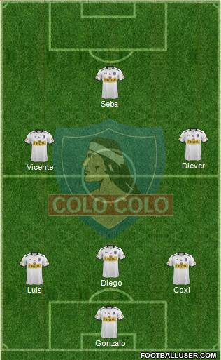 CSD Colo Colo Formation 2015