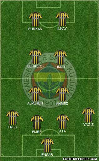 Fenerbahçe SK Formation 2015