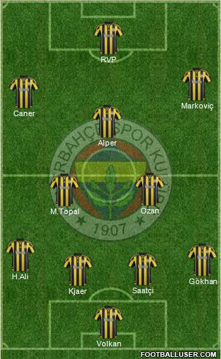 Fenerbahçe SK Formation 2015