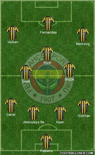 Fenerbahçe SK Formation 2015