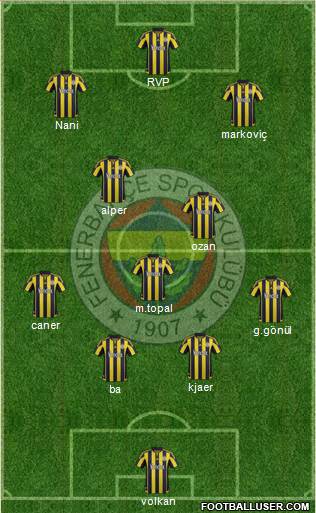 Fenerbahçe SK Formation 2015