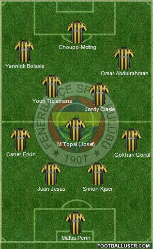 Fenerbahçe SK Formation 2015