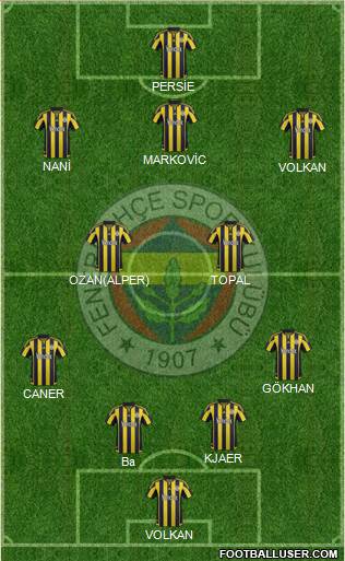 Fenerbahçe SK Formation 2015
