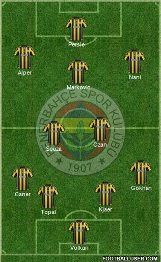 Fenerbahçe SK Formation 2015