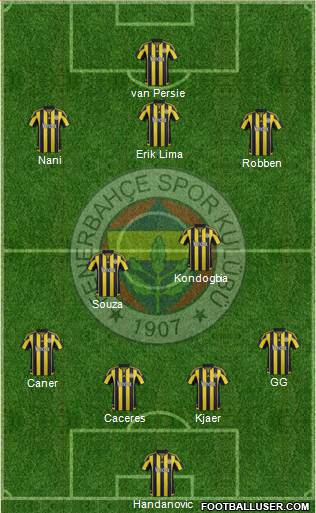 Fenerbahçe SK Formation 2015