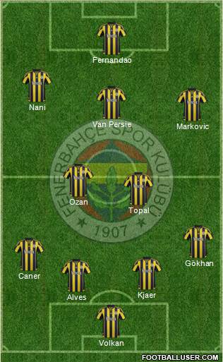 Fenerbahçe SK Formation 2015
