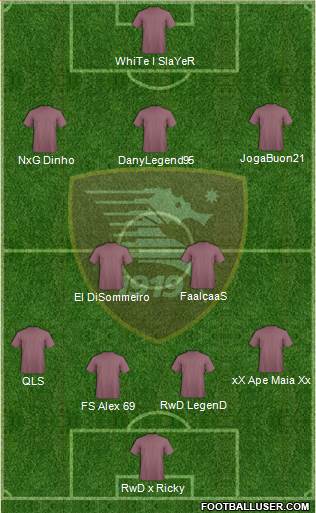 Salernitana Formation 2015
