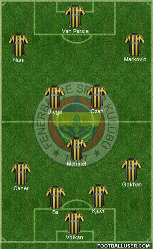 Fenerbahçe SK Formation 2015