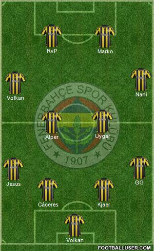 Fenerbahçe SK Formation 2015