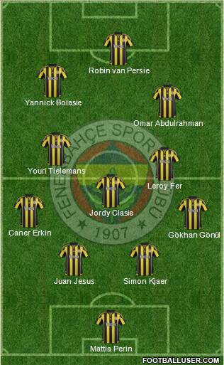 Fenerbahçe SK Formation 2015