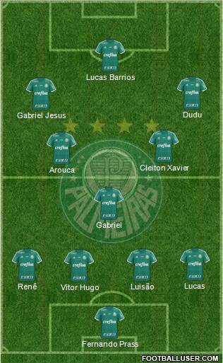 SE Palmeiras Formation 2015
