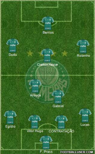 SE Palmeiras Formation 2015