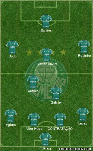 SE Palmeiras Formation 2015