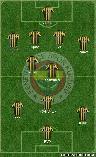 Fenerbahçe SK Formation 2015