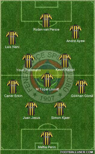 Fenerbahçe SK Formation 2015