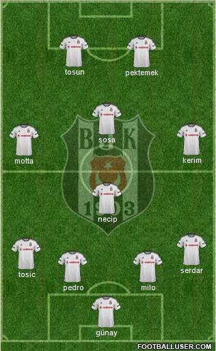 Besiktas JK Formation 2015