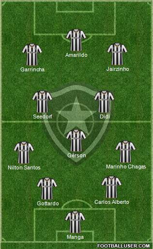 Botafogo FR Formation 2015