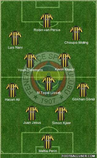 Fenerbahçe SK Formation 2015