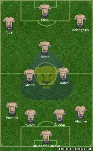 Club de Fútbol Universidad Formation 2015