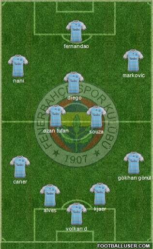 Fenerbahçe SK Formation 2015