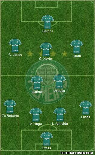 SE Palmeiras Formation 2015
