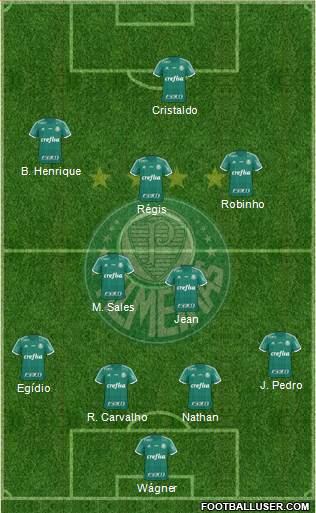 SE Palmeiras Formation 2015