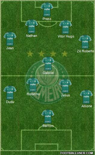 SE Palmeiras Formation 2015
