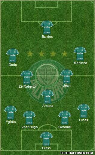 SE Palmeiras Formation 2015