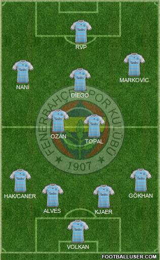 Fenerbahçe SK Formation 2015