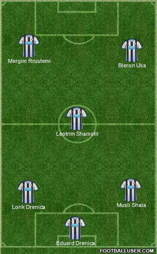 Newcastle United Formation 2015