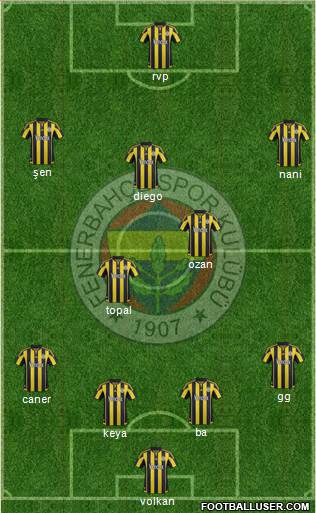 Fenerbahçe SK Formation 2015