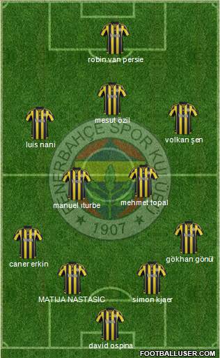 Fenerbahçe SK Formation 2015