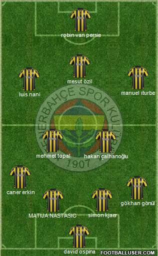 Fenerbahçe SK Formation 2015