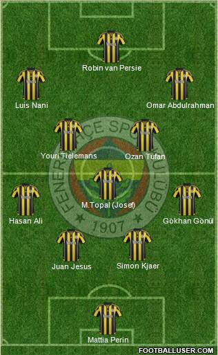 Fenerbahçe SK Formation 2015
