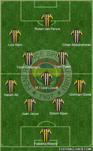 Fenerbahçe SK Formation 2015