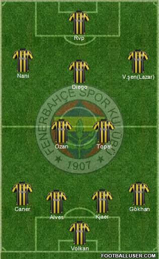 Fenerbahçe SK Formation 2015
