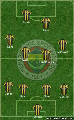 Fenerbahçe SK Formation 2015