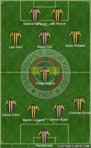 Fenerbahçe SK Formation 2015