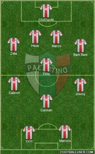 CD Palestino S.A.D.P. Formation 2015