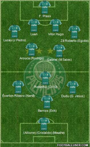 SE Palmeiras Formation 2015