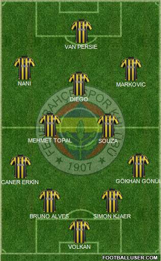 Fenerbahçe SK Formation 2015