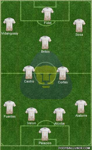 Club de Fútbol Universidad Formation 2015