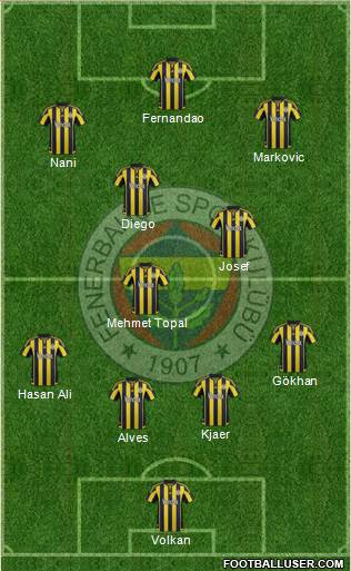 Fenerbahçe SK Formation 2015