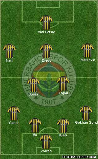 Fenerbahçe SK Formation 2015