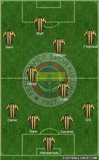 Fenerbahçe SK Formation 2015