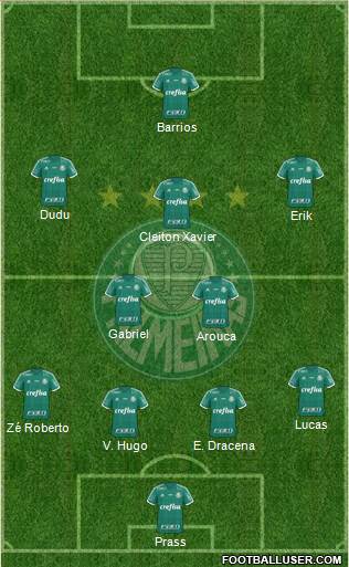 SE Palmeiras Formation 2015
