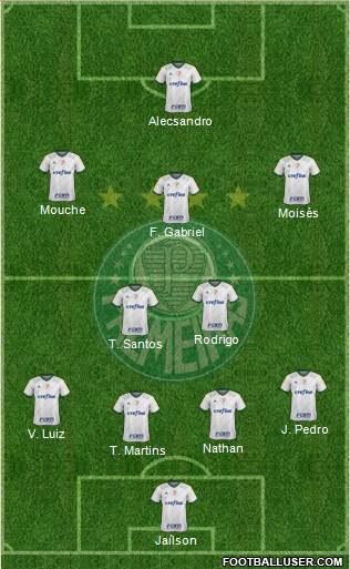SE Palmeiras Formation 2015