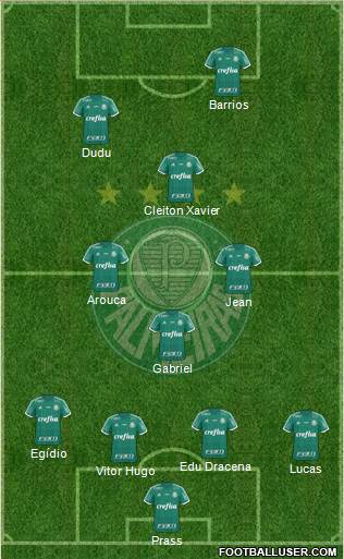 SE Palmeiras Formation 2015